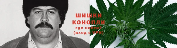 эйфоретик Аркадак