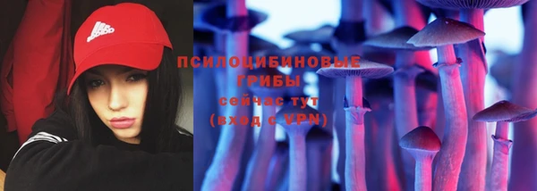 мдпв Надым