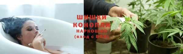 ГАЛЛЮЦИНОГЕННЫЕ ГРИБЫ Арсеньев